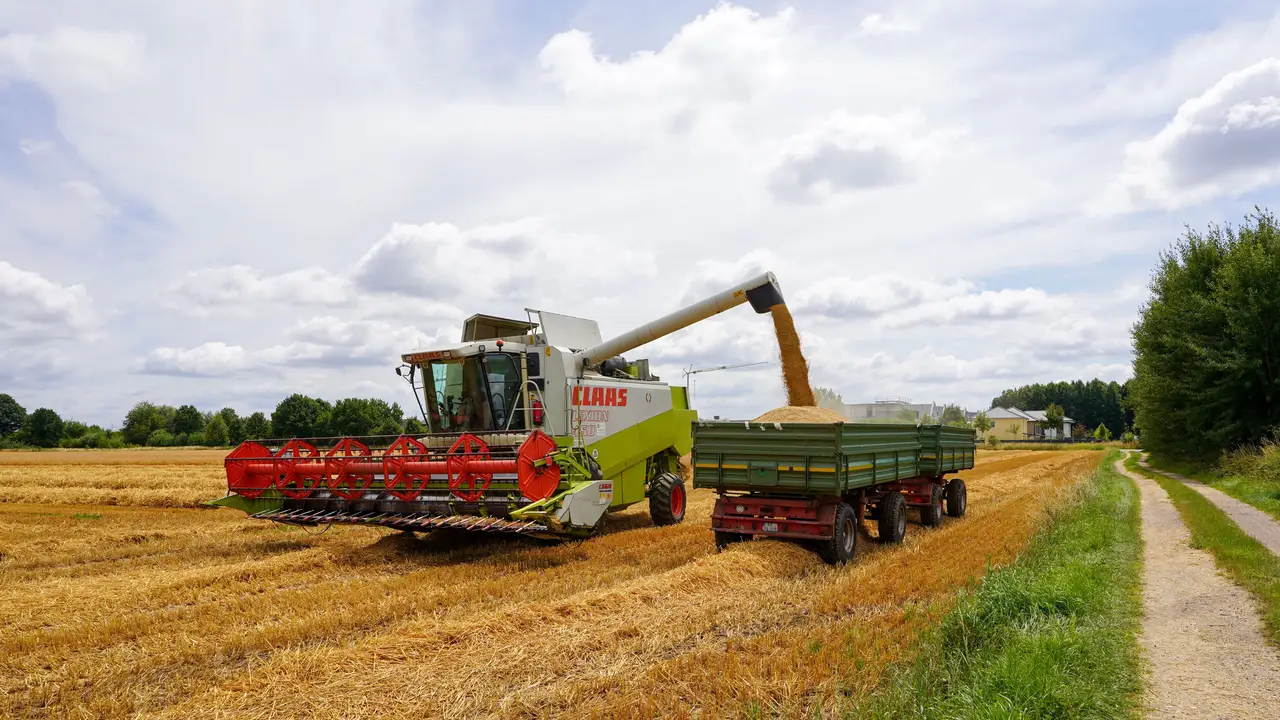 Forage harvester working beside a trailer in a field